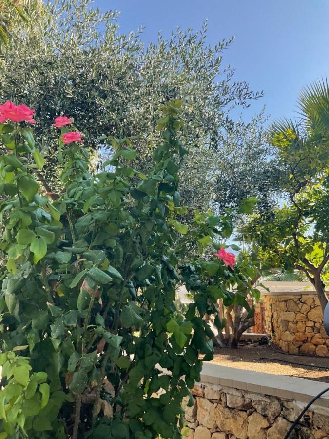 Al Balhara Resort & Spa Palermo Eksteriør billede